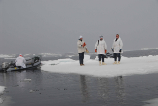 Seal tagging group on an ice floe